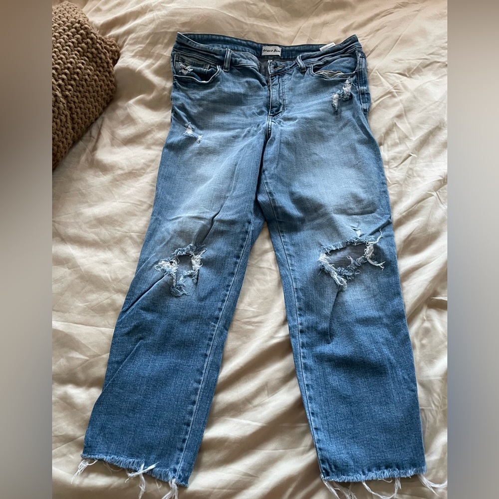 Blue Ankle Cropped Distressed Jeans